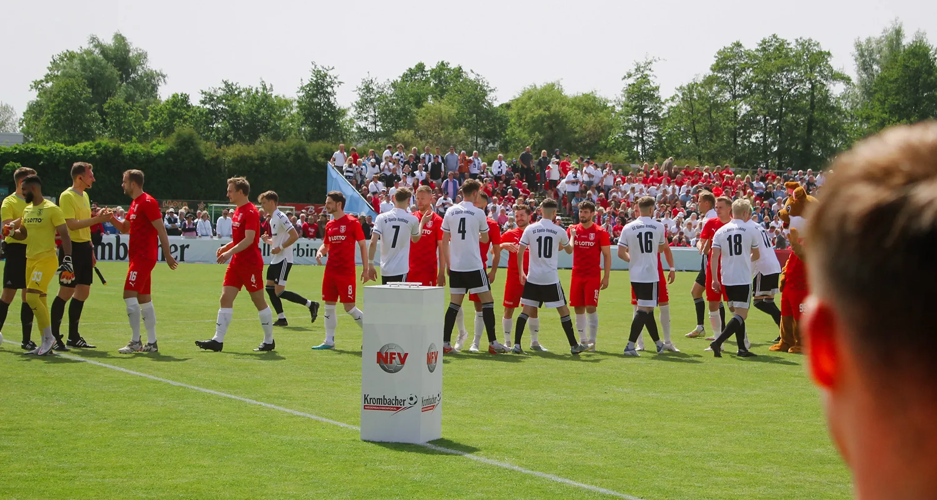 LIVE-Auslosung: Wer wartet im Halbfinale des NFV-Pokals?