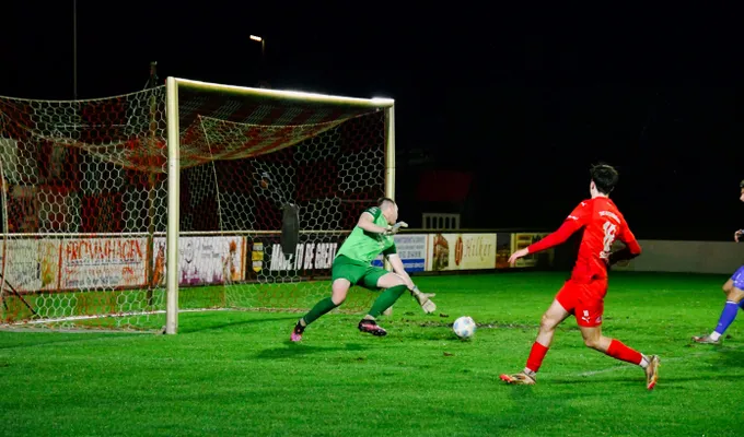 Bersenbrück ringt Biene nieder und blickt nach oben